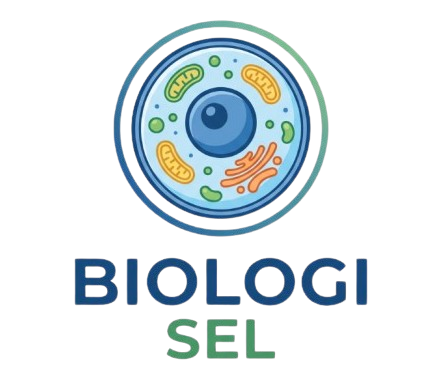 biologisel.id